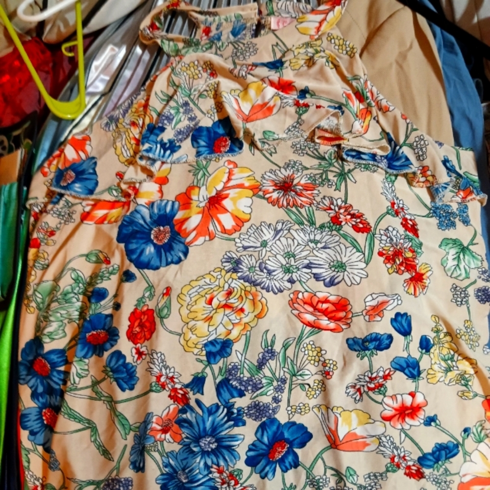 Dress shirt/blouse